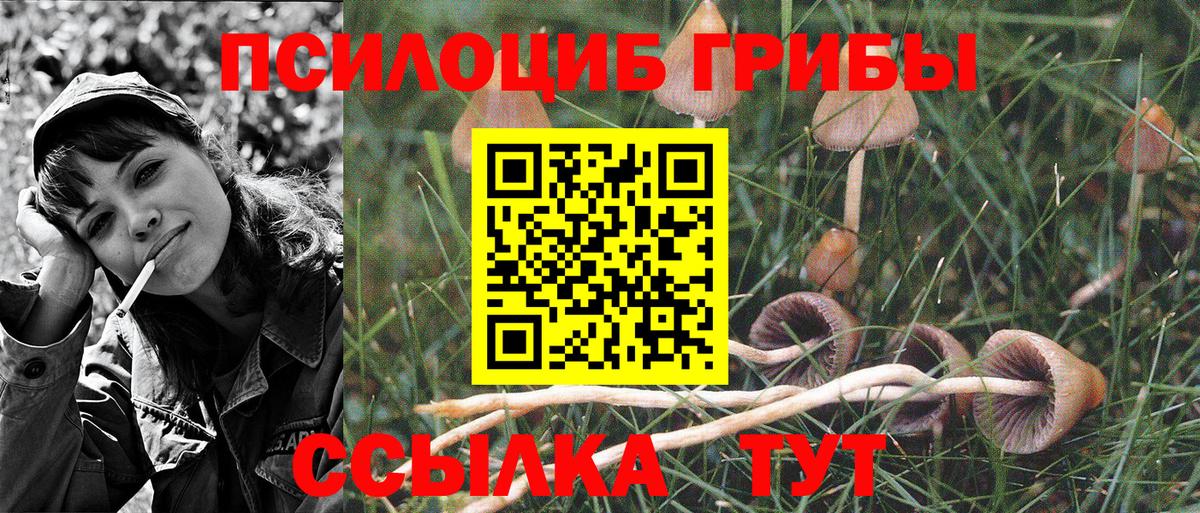 Волгодонск  Псилоцибиновые грибы GOLDEN TEACHER  Вход с VPN  Псилоцибиновые грибы MAGIC MUSHROOMS 